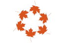 Circular arrangement of orange squirrels facing outward with small colorful leaves scattered among them.