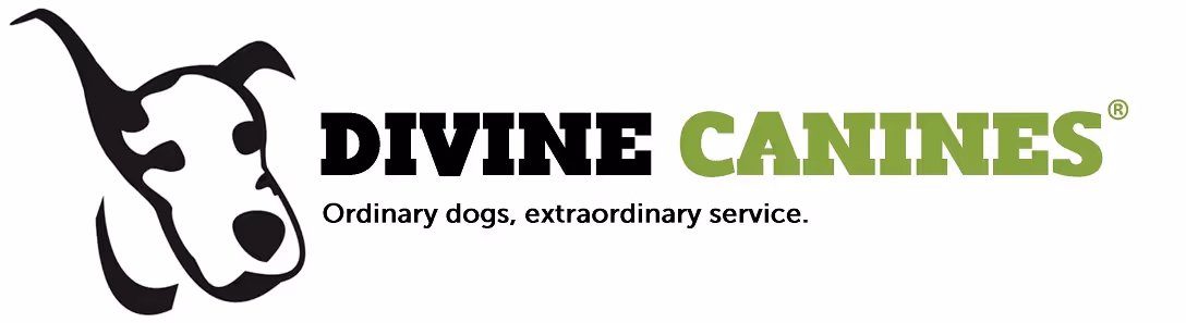 Divine canines