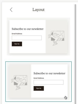 mailchimp-popup-layout-options