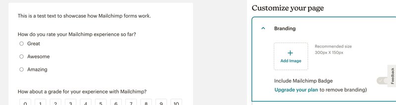 mailchimp-survey-branding-options