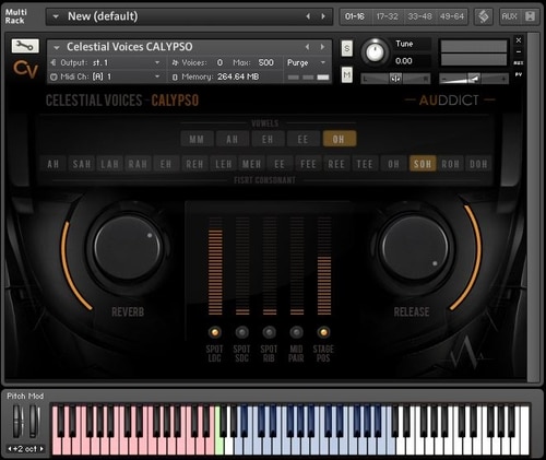 Kontakt VST AU AAX GUI Screenshot of interface