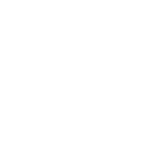 Icon Whatsapp