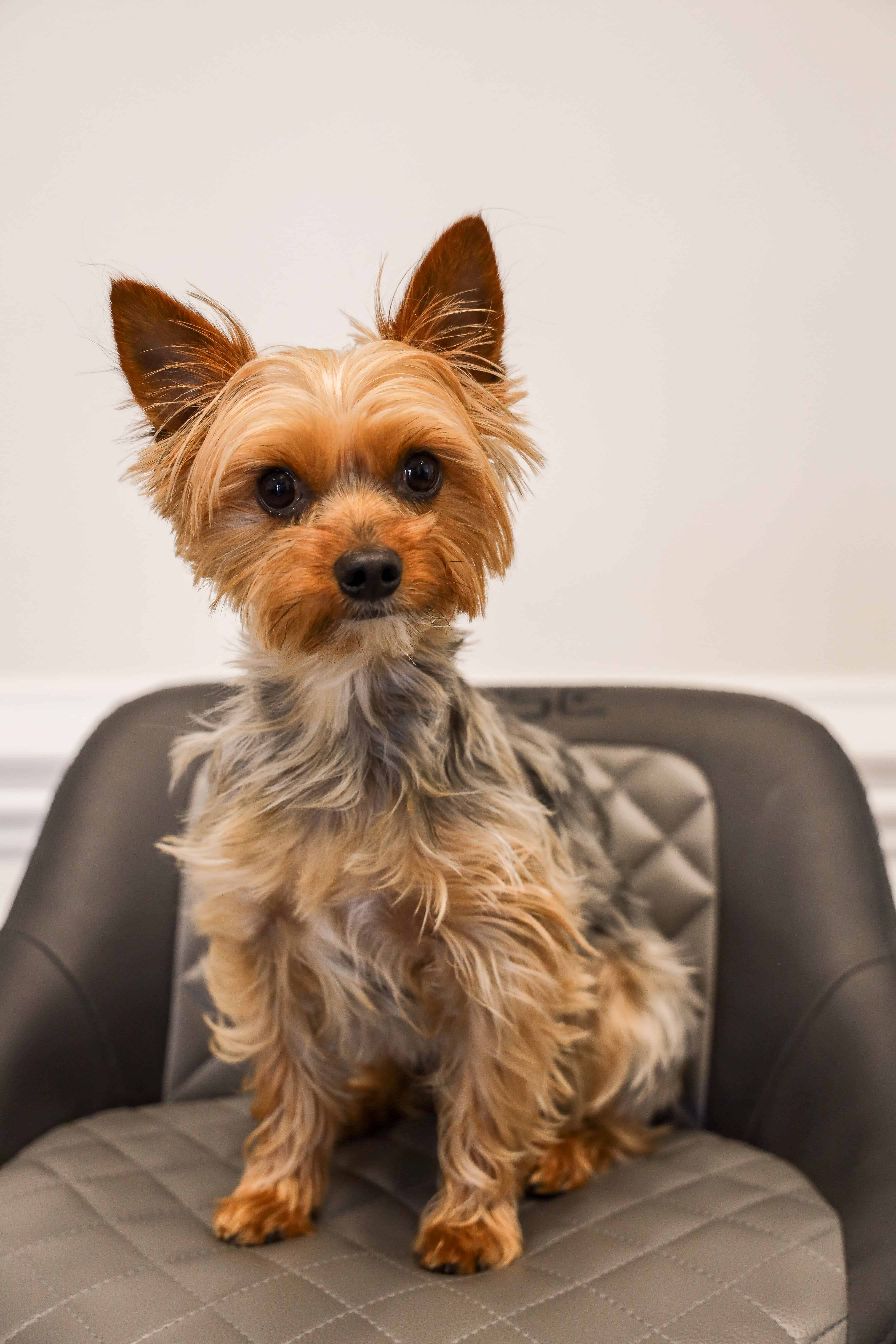 Greg Glasby, Real Estate Closing Paralegal