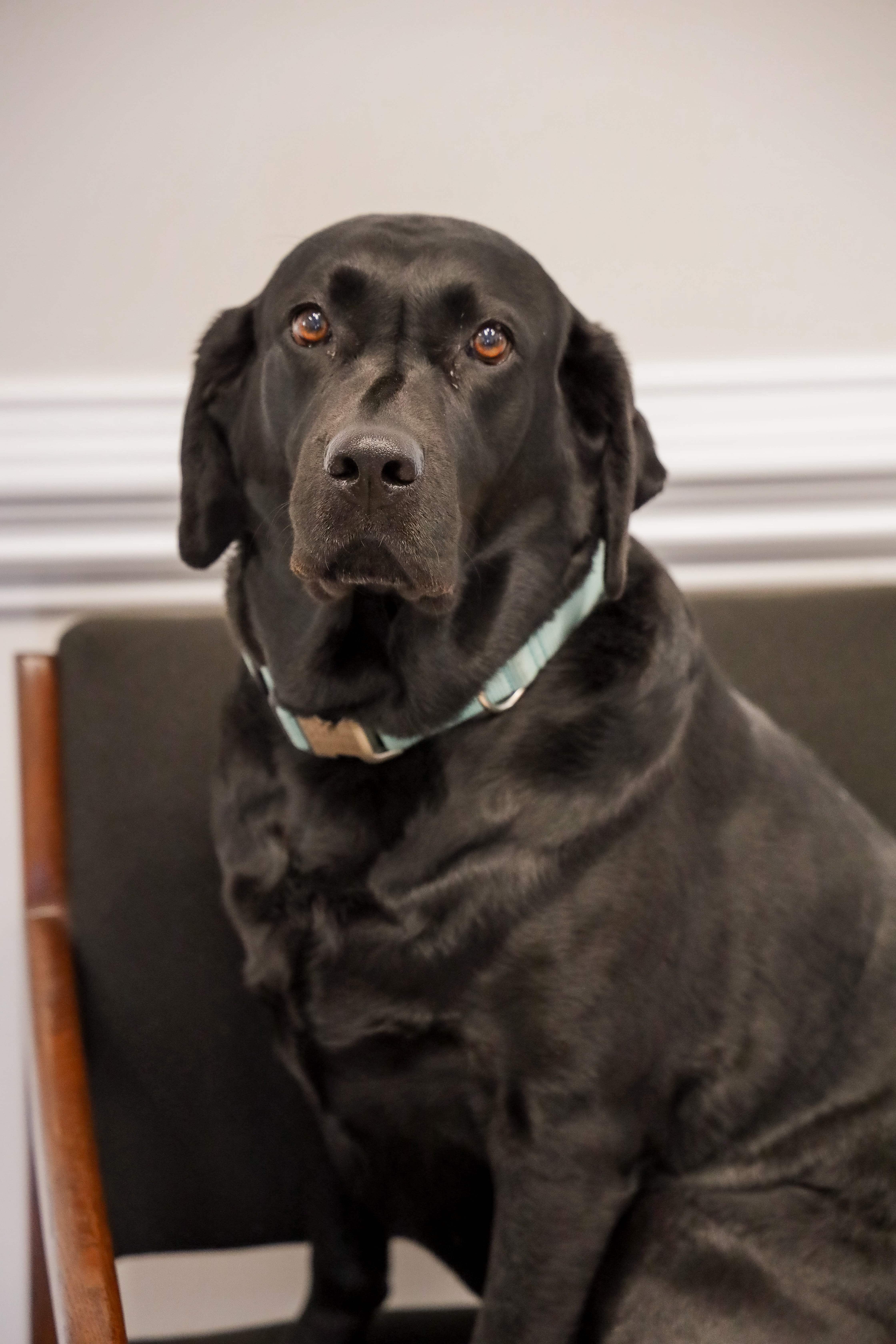 Greg Glasby, Real Estate Closing Paralegal