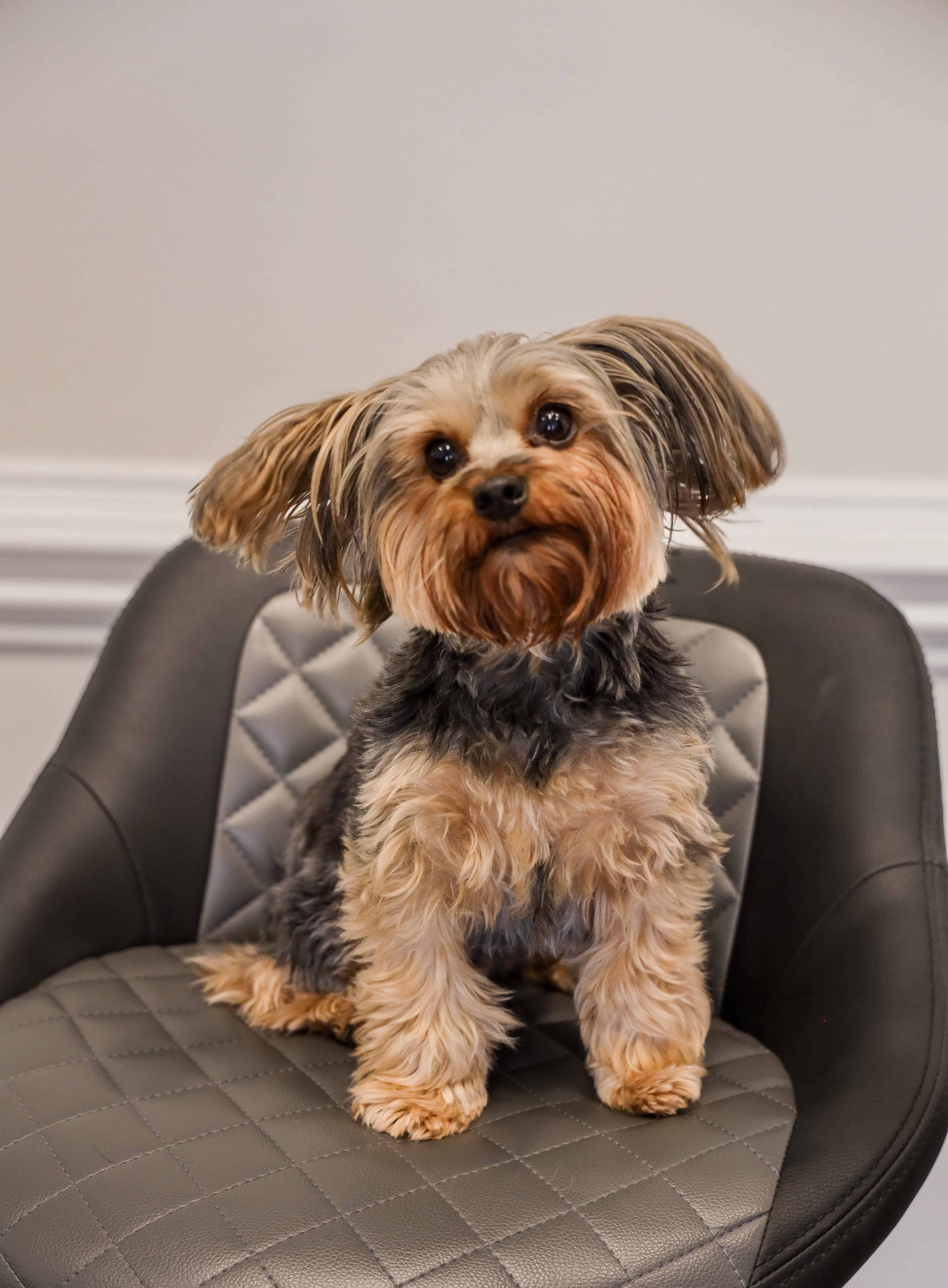 Greg Glasby, Real Estate Closing Paralegal