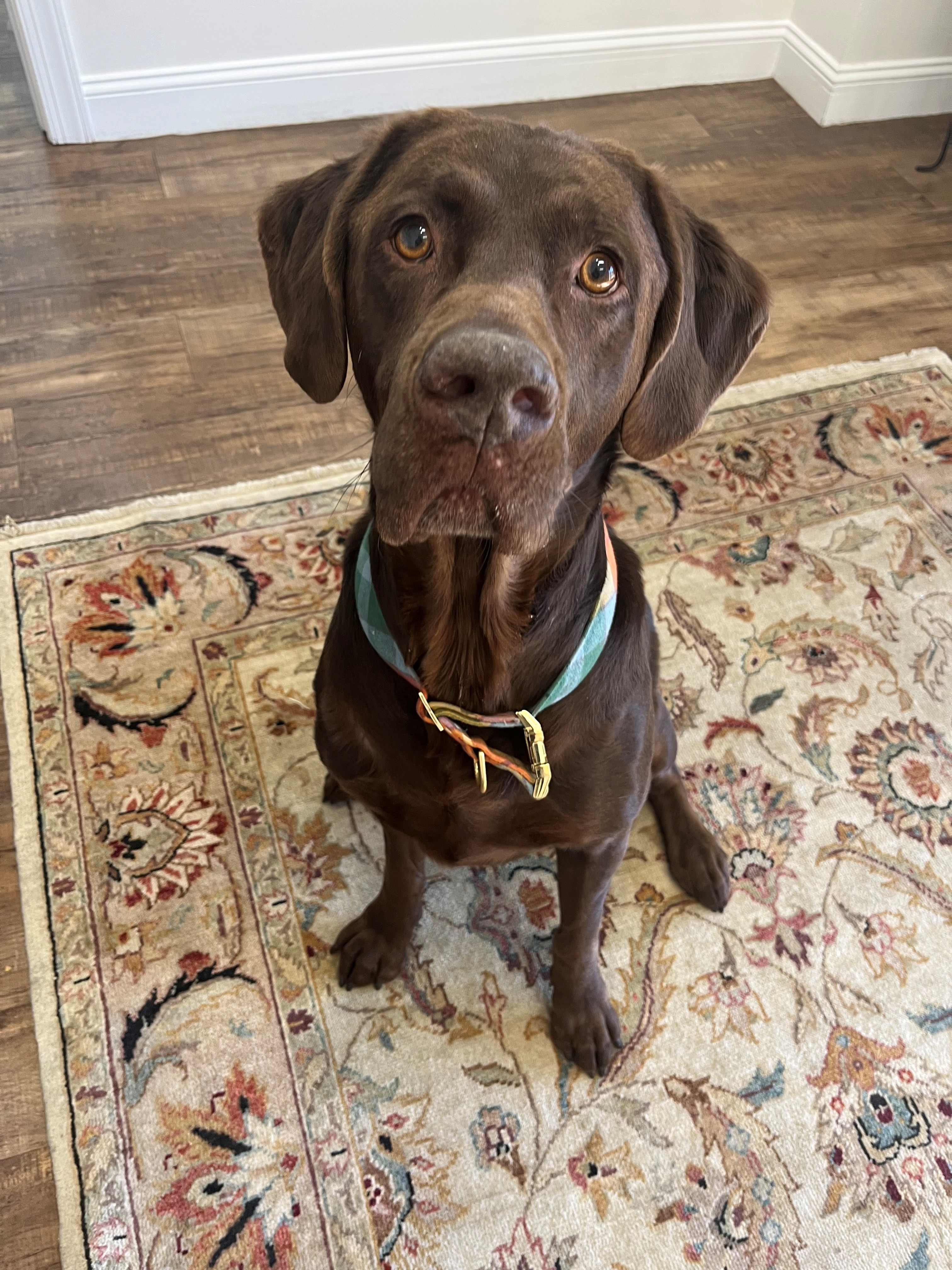 Greg Glasby, Real Estate Closing Paralegal