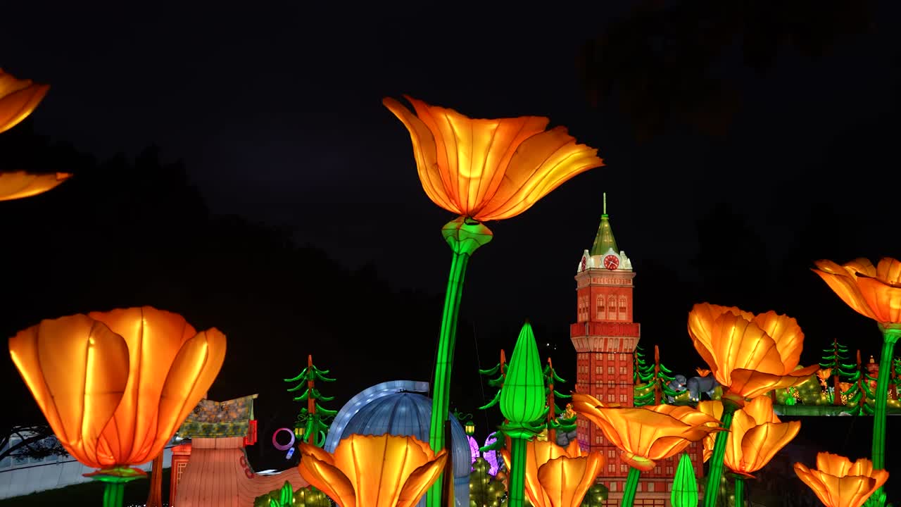 NYC lawyers call on Bronx Zoo's last 2 elephants Happy and Patty to be  moved to animal sanctuary as concerns over care grow | New York Post, image size:1280x720