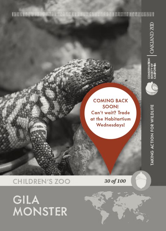 Gila Monster trading card in color and available