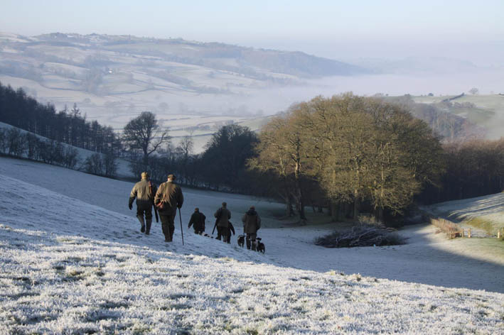 shooting season, uk at Powis Castle