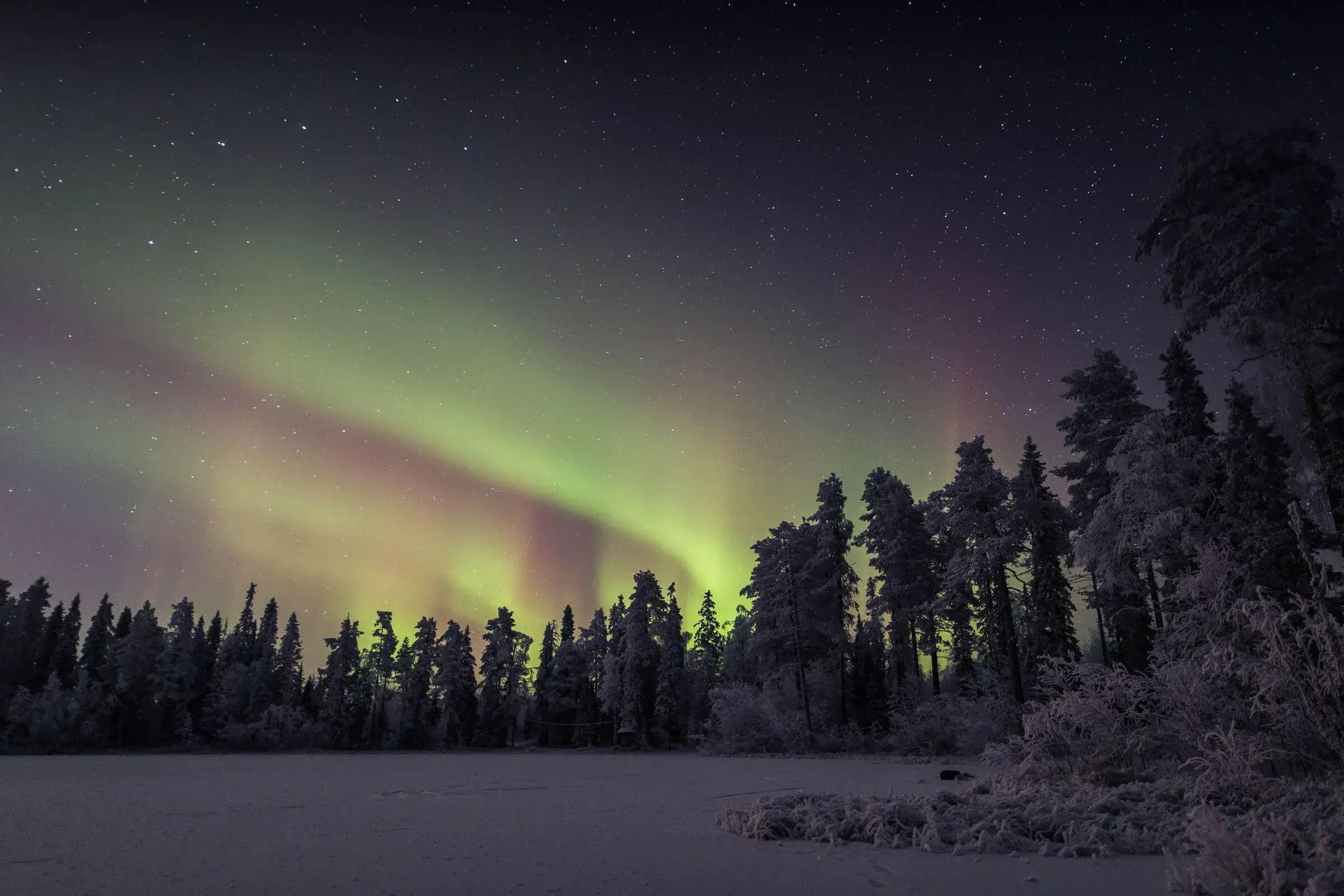 Discover the best afternoon tours in Rovaniemi, Lapland! ...
