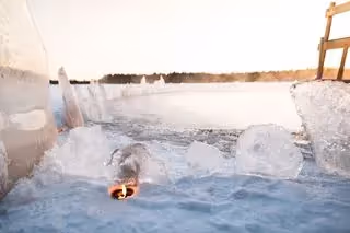 Frozen private lake