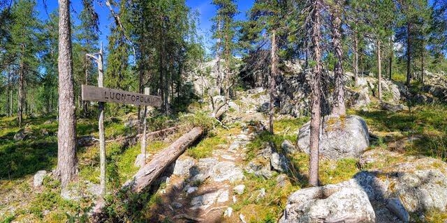 Nature trail, soooo beautiful at summer