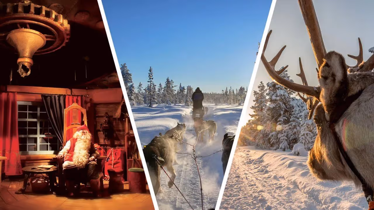 Santa’s Village & Arctic Animals – Rovaniemi Winter Adventure