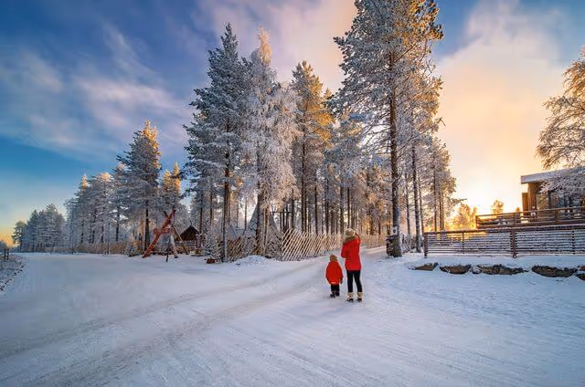 Santa's Village and Arctic animals adventure
