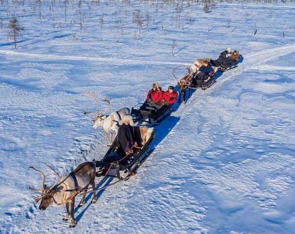 Aerial view of a traditional reindeer safari in Lapland, showing multiple reindeer pulling sleighs with tourists across a vast, snow-covered landscape near Rovaniemi.