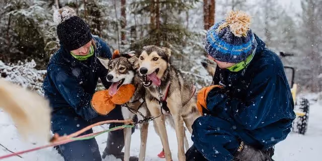 November Born To Run, Morning Husky tour
