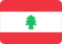 Nigeria flag