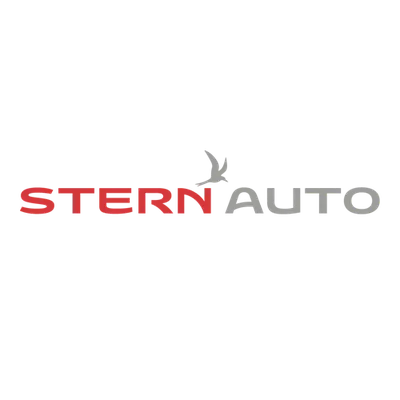 Logo Stern MadSpider