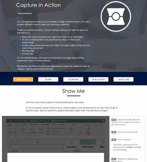 dominKnow | ONE Capture example of software simulation with Excel.