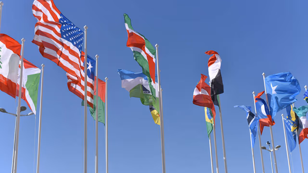 dominknow article banner