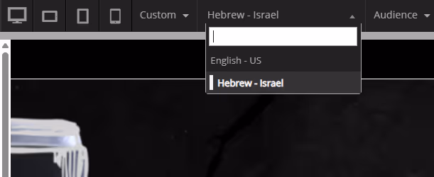 multiple languages in one course