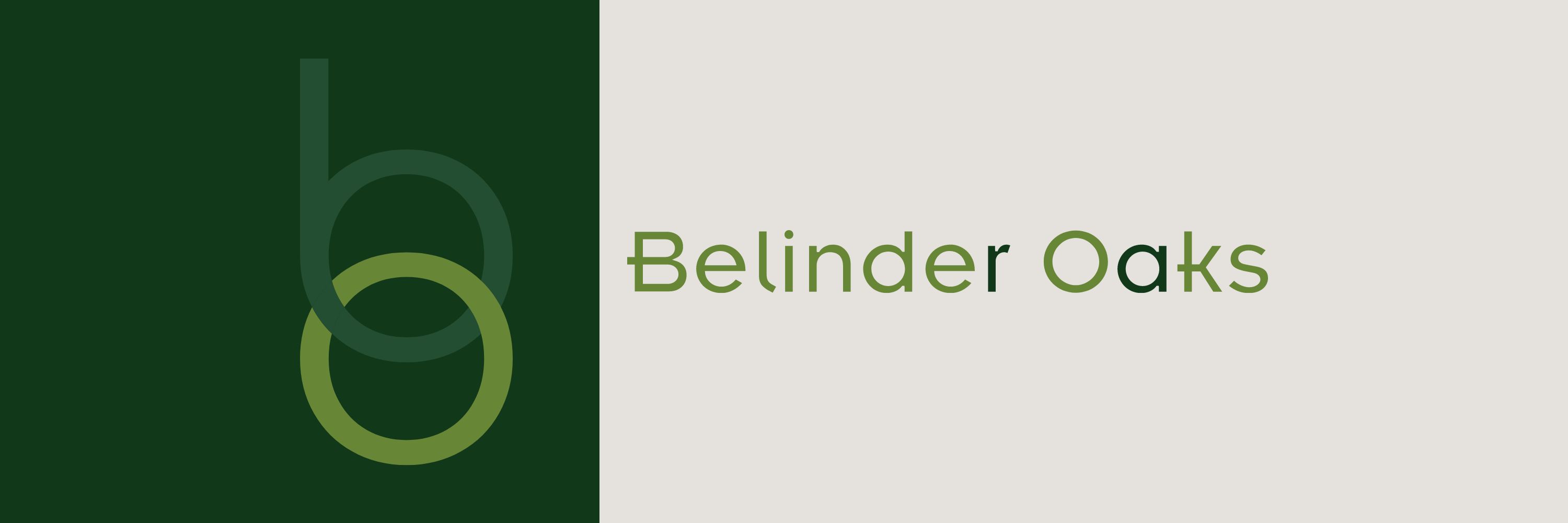 Logo and Brand Guidelines