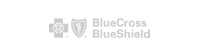 Blue Cross Blue Shield
