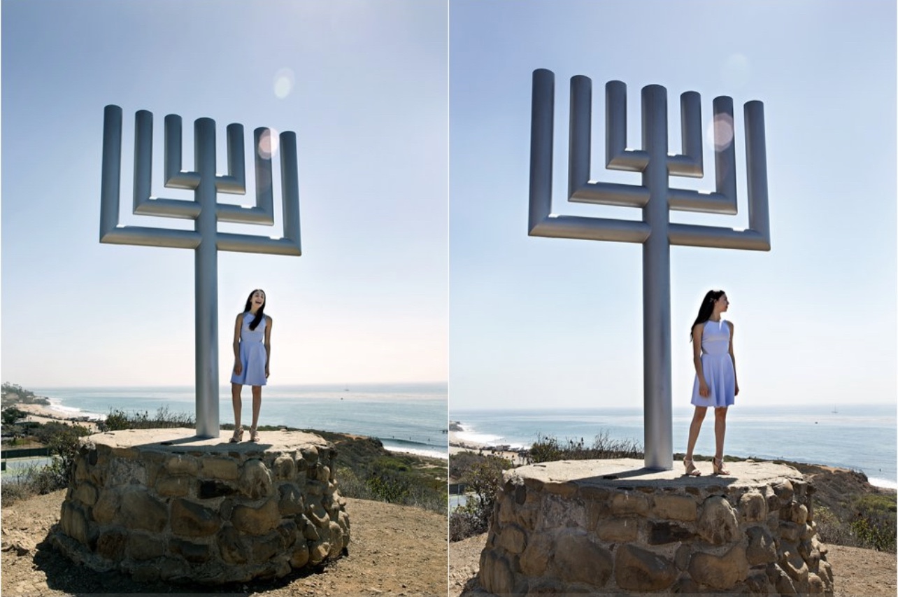 The Shofar Abbreviated Life Story Jewish Identity Edition