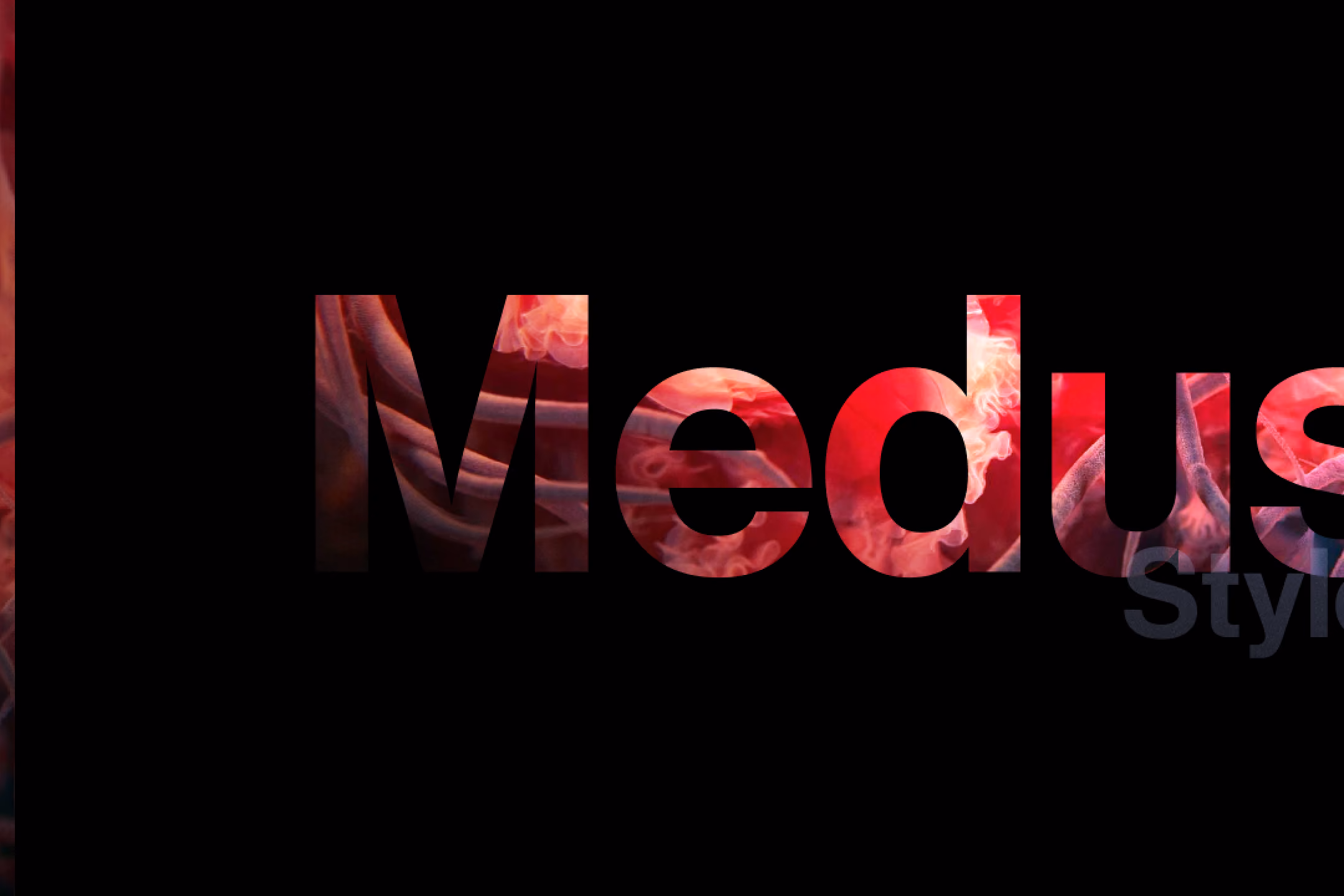 Medusa Design System case study cover image — Amit Patel Designs portfolio