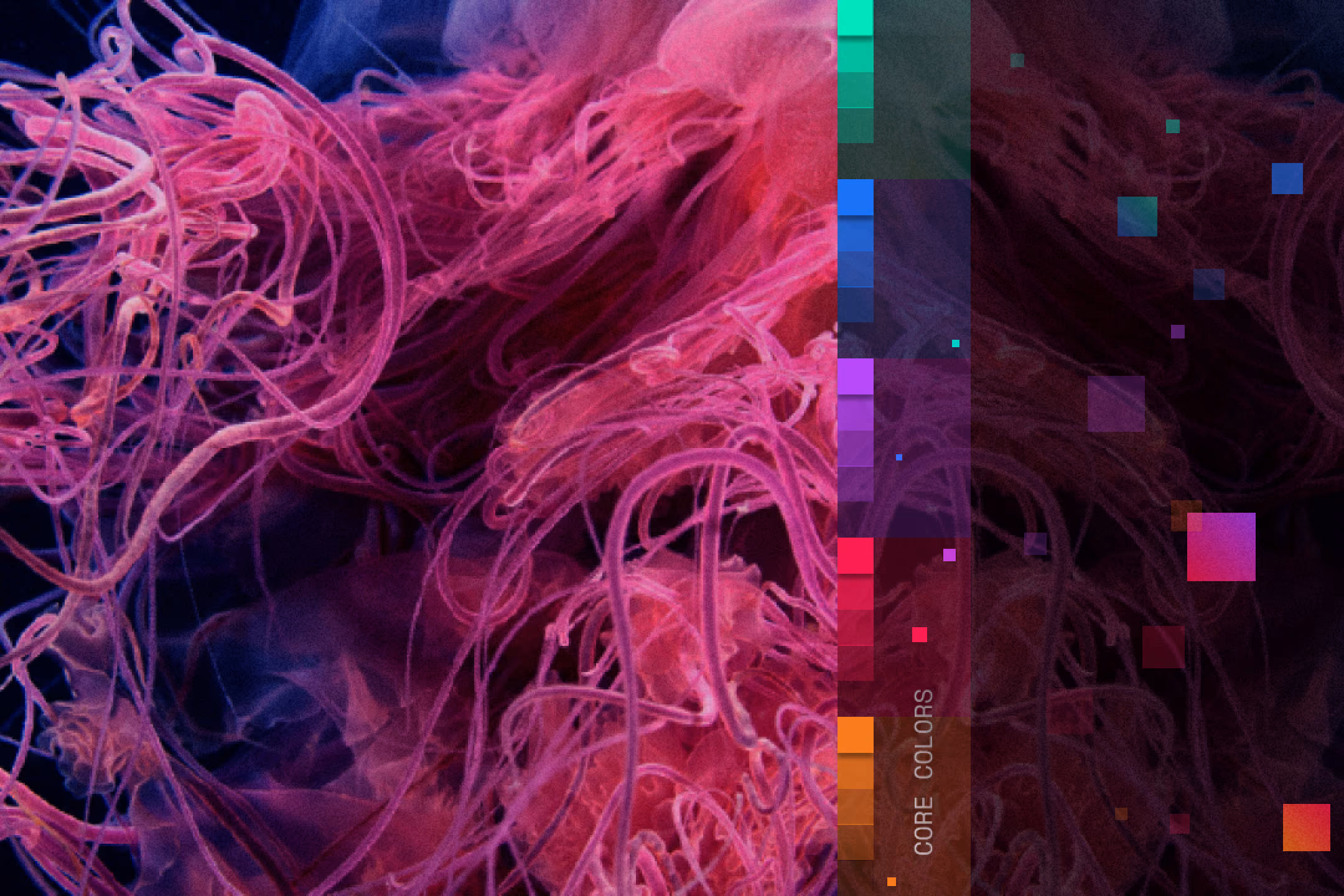 Abstract image with pink and purple tangled strands and a vertical bar showing color blocks labeled core colors.