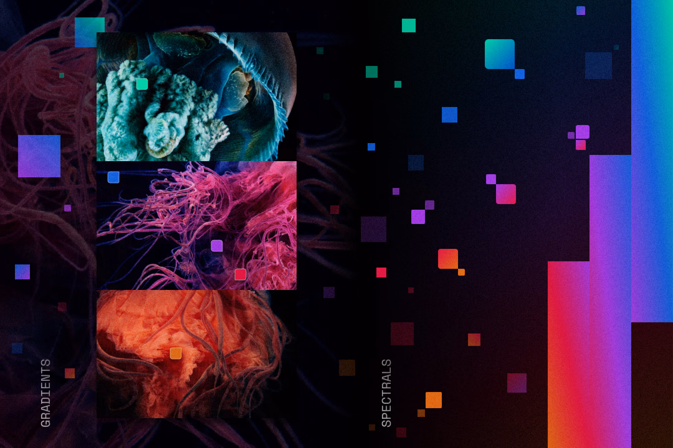 Collage of colorful coral and jellyfish images overlayed with multicolored pixel squares and gradients.