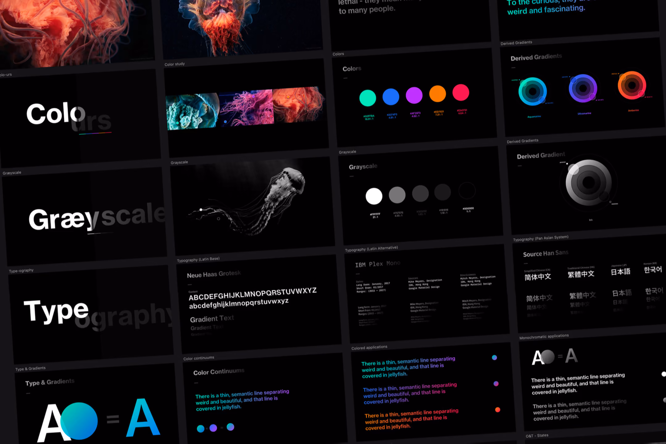 Design board showing color wheels, gradients, grayscale, typography samples, and jellyfish images.