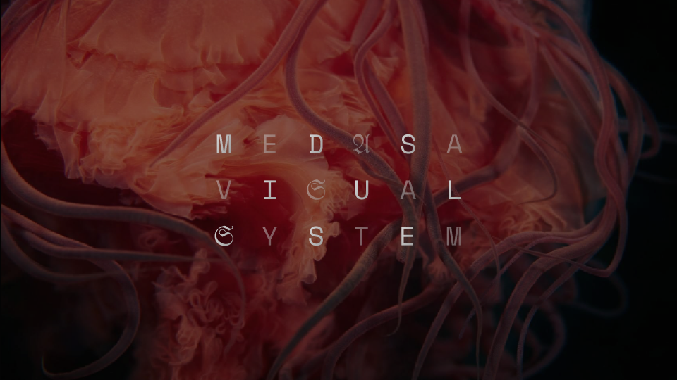 Medusa visual language cover