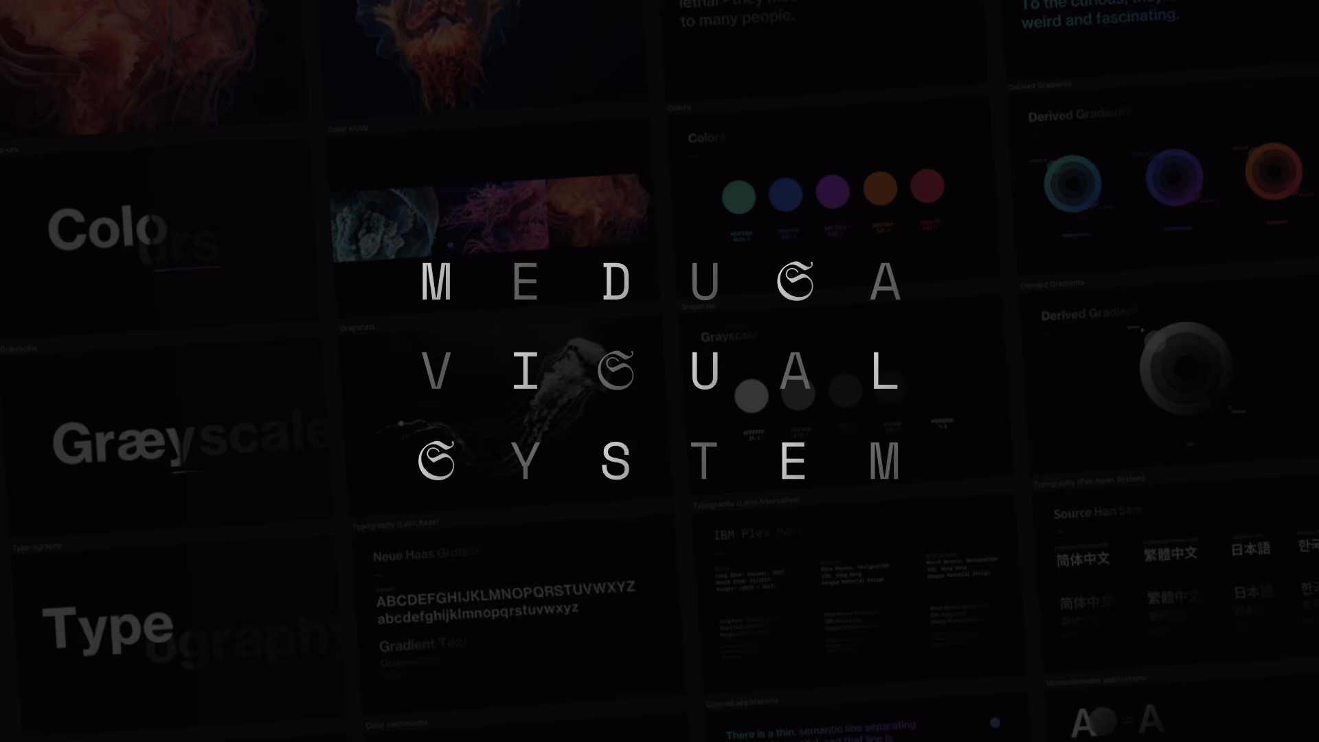 Medusa Visual System cover