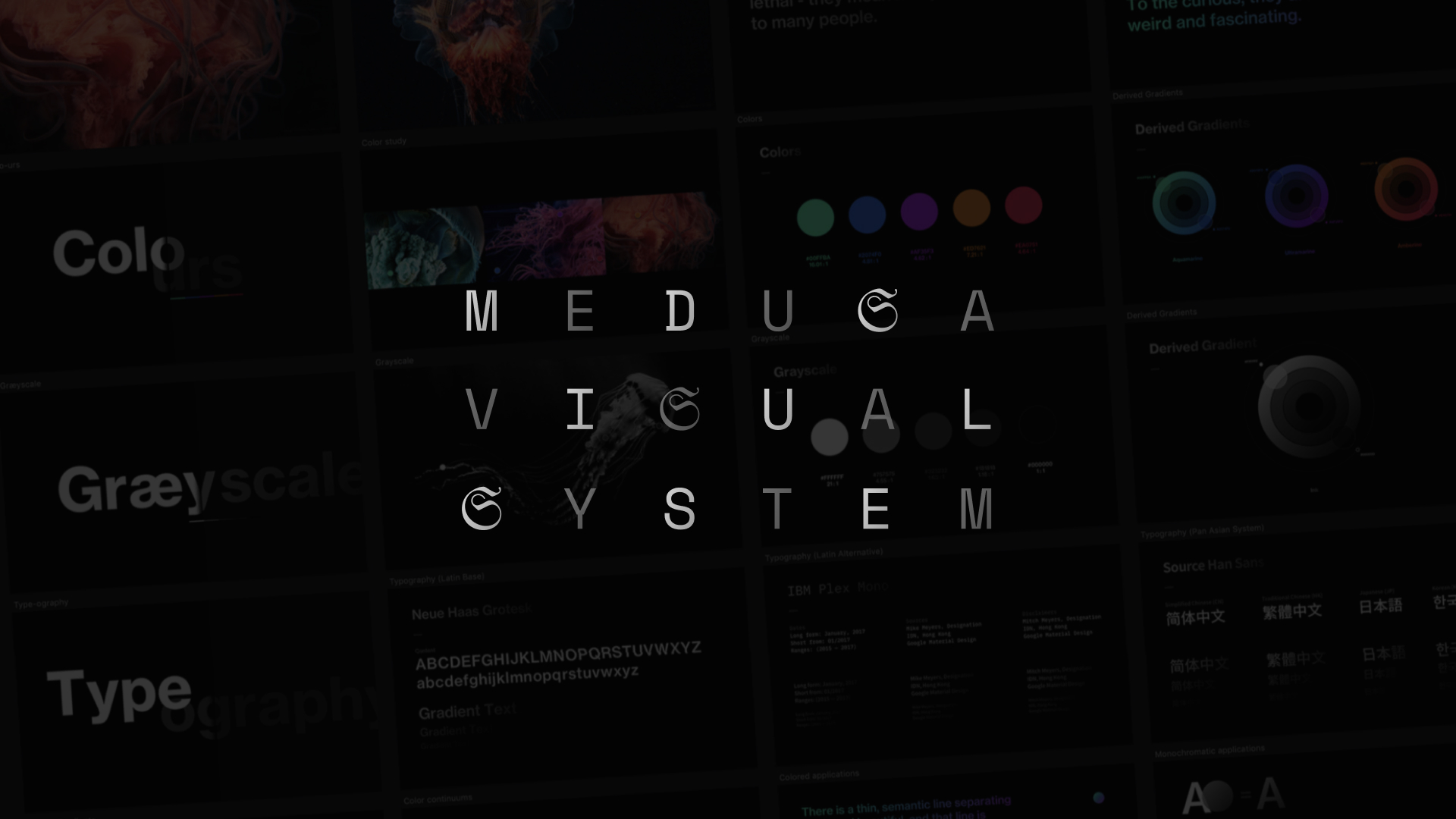Medusa Visual System cover