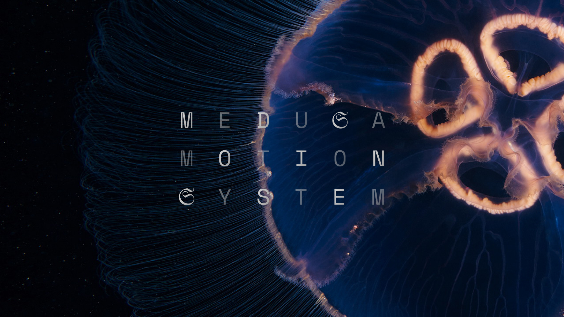Medusa Motion System cover