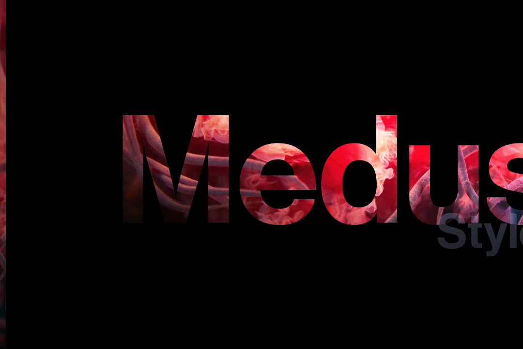 Medusa style guide cover: the word Medusa cut from a red jellyfish photograph on black.