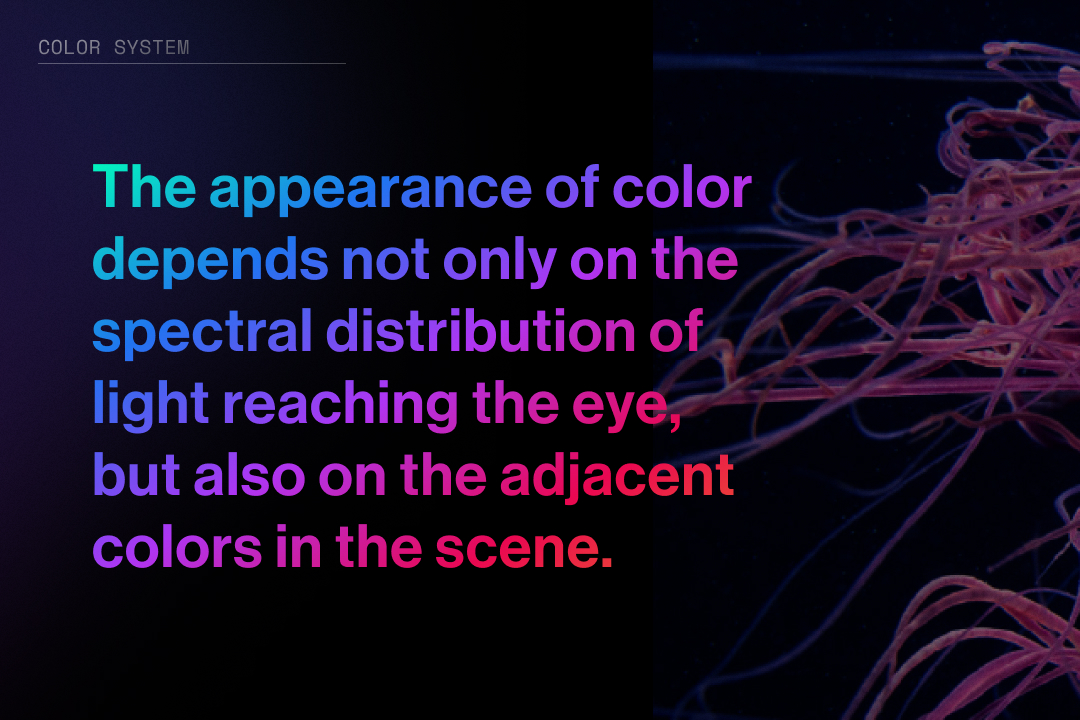 Color theory: the appearance of color depends on the light reaching the eye and on the colors around it.