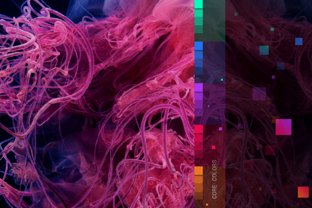 Close-up of pink and violet jellyfish tentacles on black.