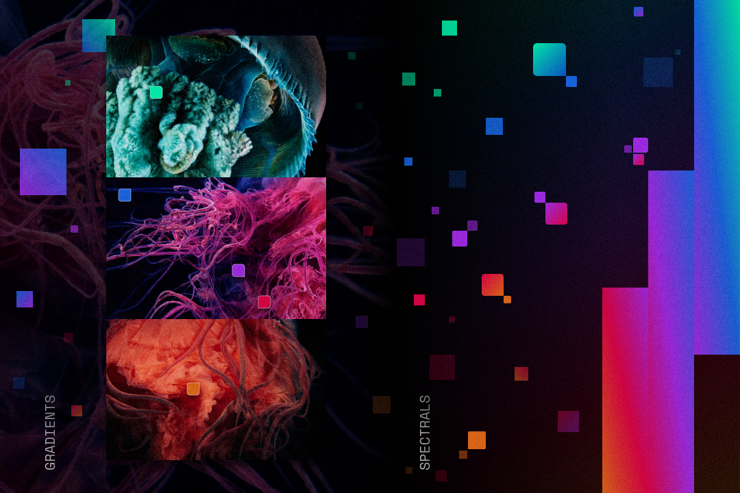 Jellyfish imagery broken into floating squares of teal, violet and magenta.
