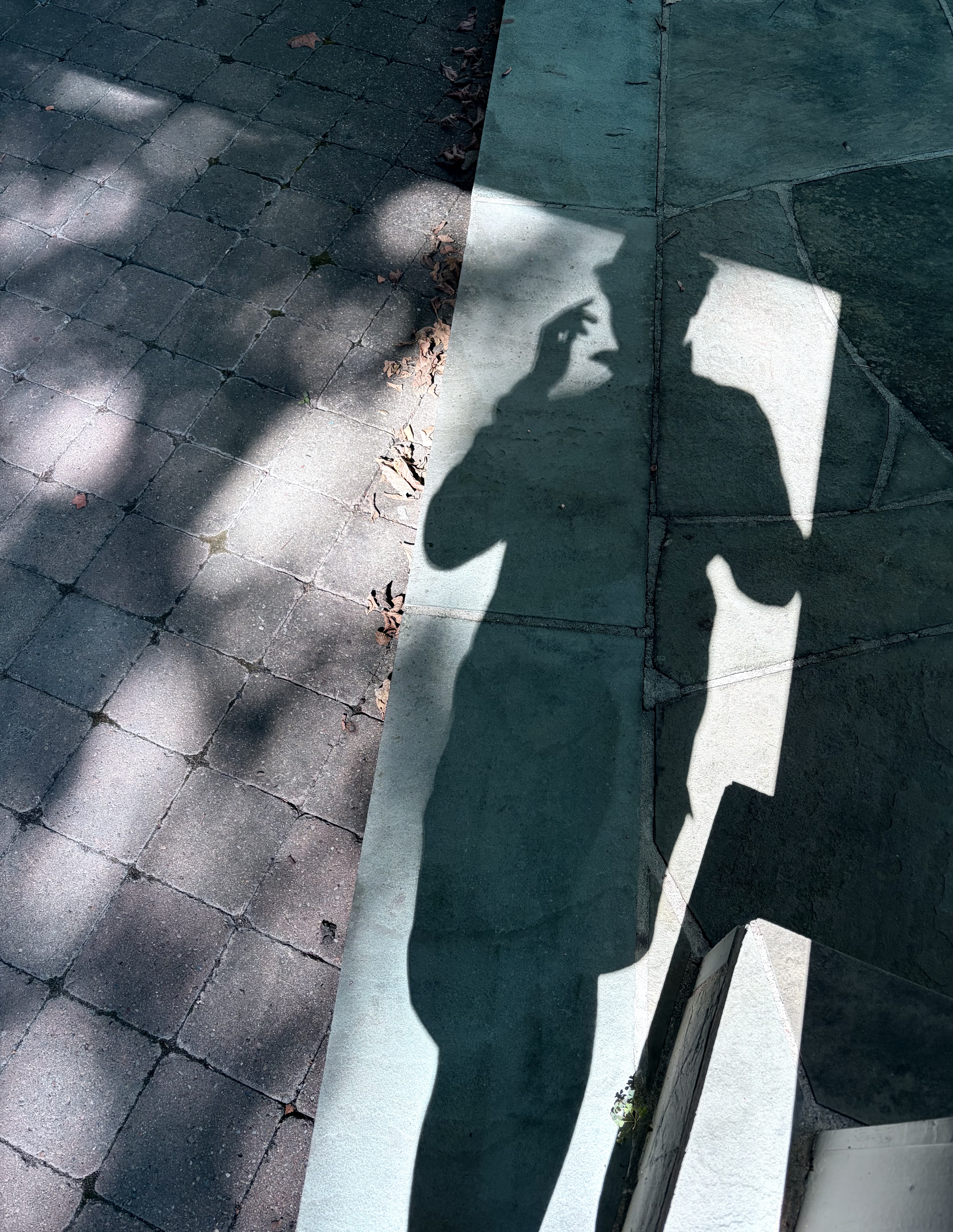 A shadow of a figure, one hand raised to the face, falling across a seam between square pavers and wild flagstone