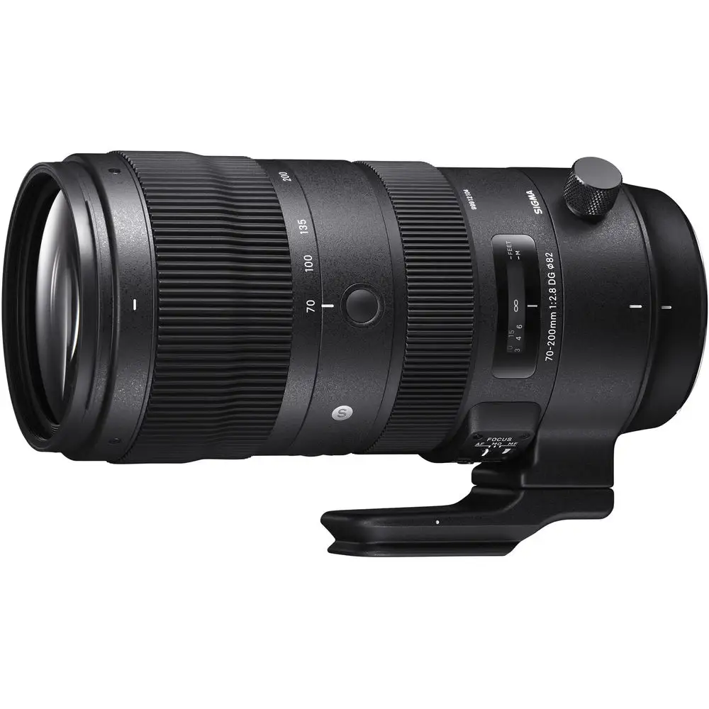 Sigma 70-200mm Sports lens.