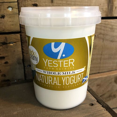 Yester Whole Milk Yoghurt