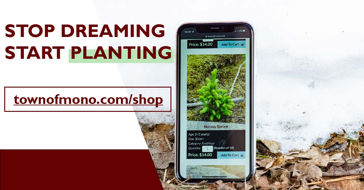 Phone standing up on the ground with Mono's tree shop on its screen