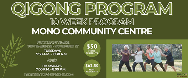 Qigong Program promotional graphic
