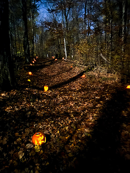 Jack-o-lanterns on a forest trail