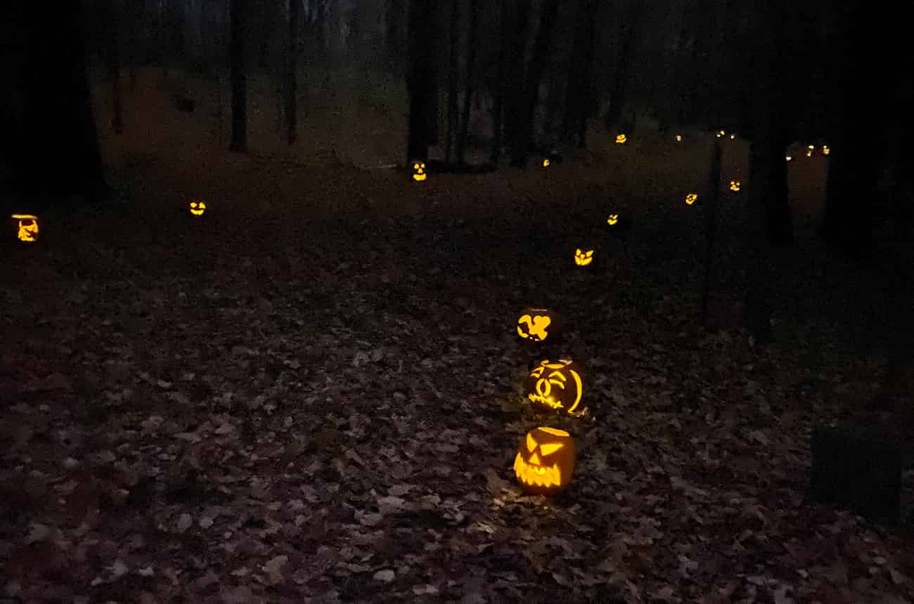 Jack-o-lanterns on a winding trail