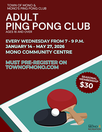 2026 Adult Ping Pong Club Poster
