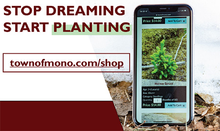 Stop dreaming. Start planting. Tree and seedling program program with a mobile device showing an item on the tree and seedling online shop
