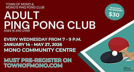 Adult Ping Pong Club promotional graphic